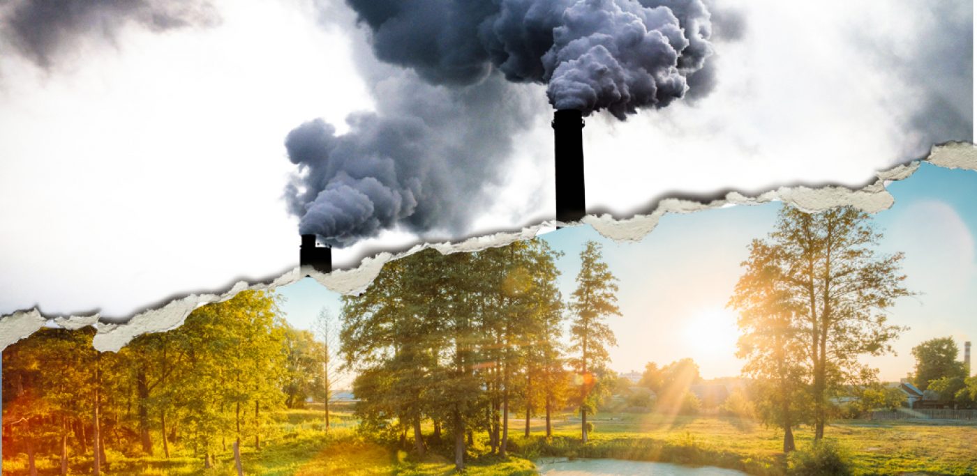 greenWash