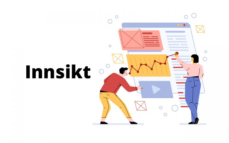 innsikt